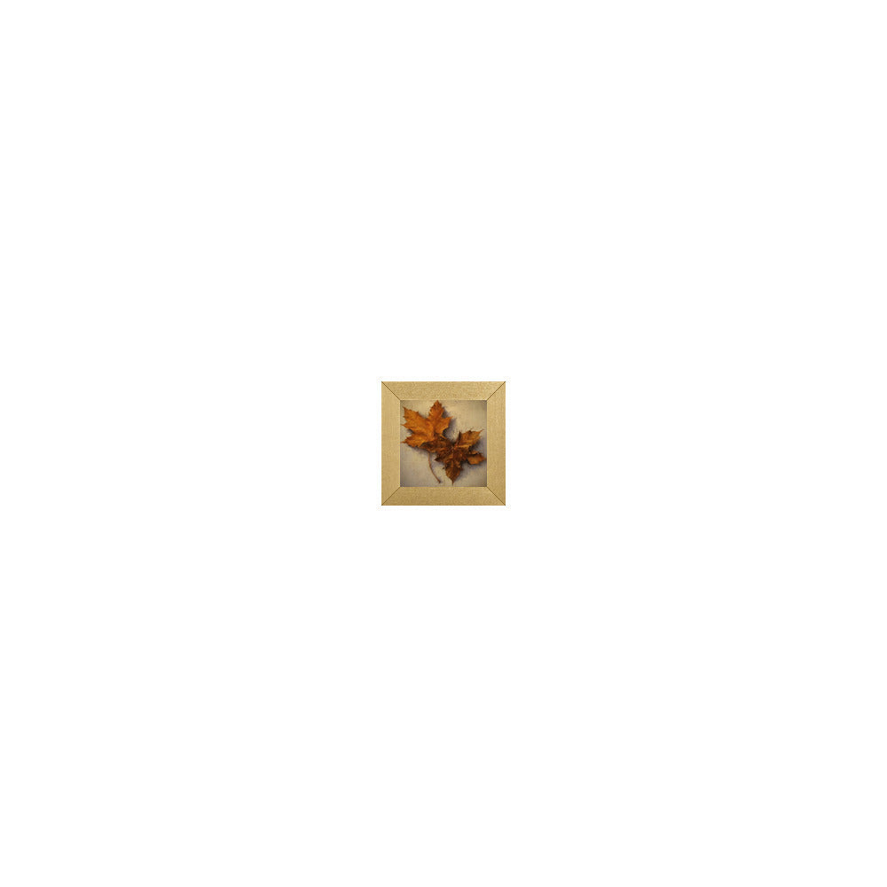 HW-404 in Metallic Gold Gallery Frame, M
