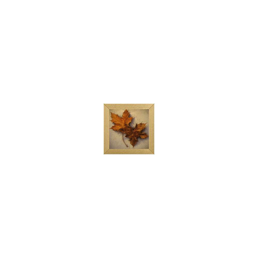 HW-404 in Metallic Gold Gallery Frame, S