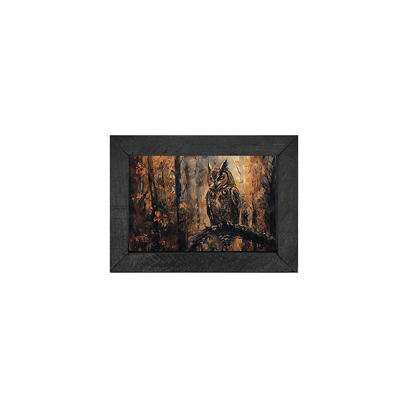 Rustic Owl - Horizontal Frame