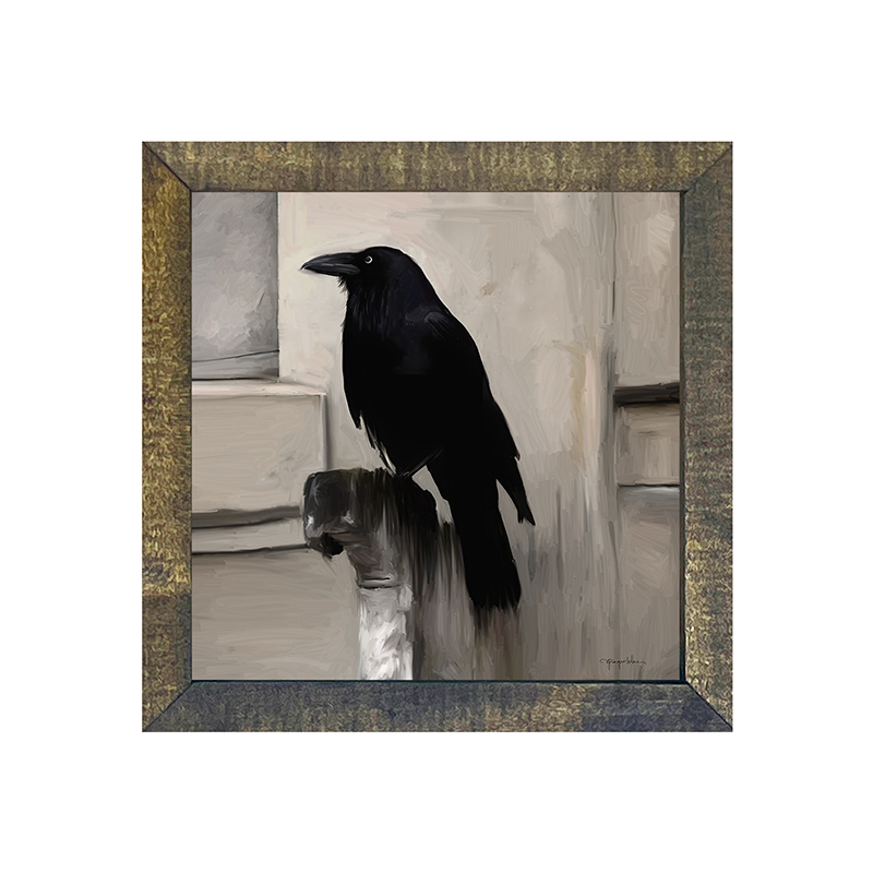 Perched Raven