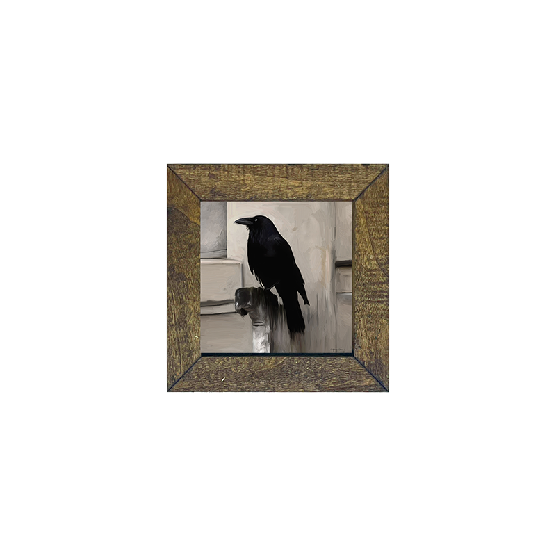 Perched Raven