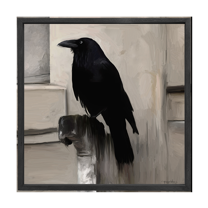 Perched Raven