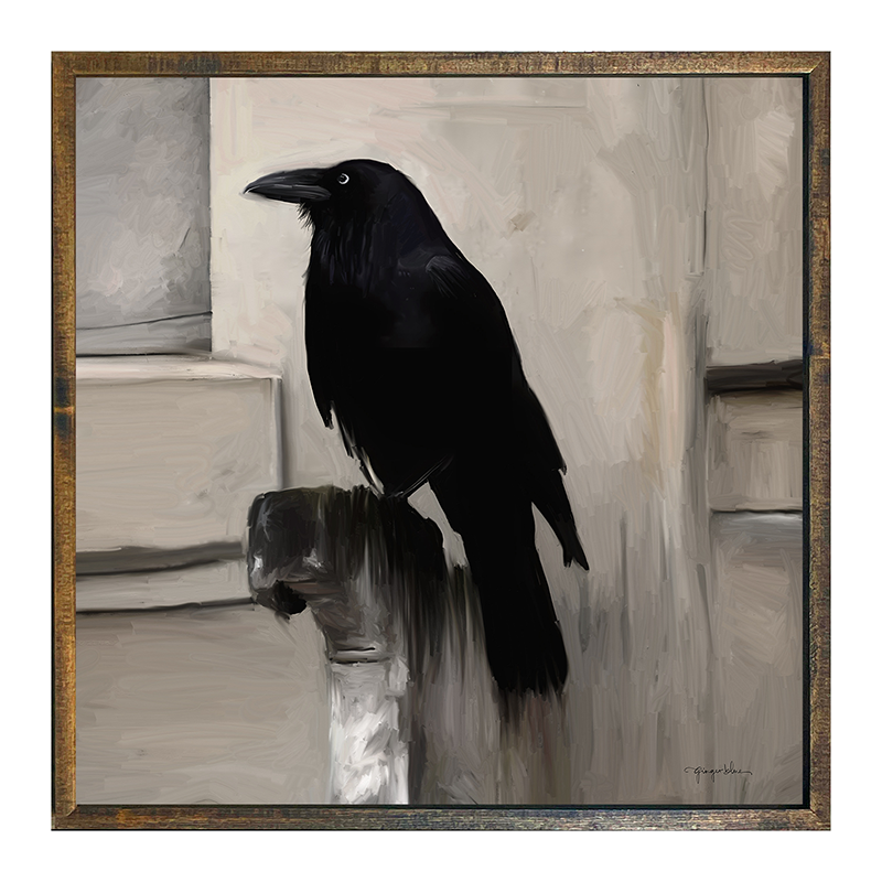 Perched Raven