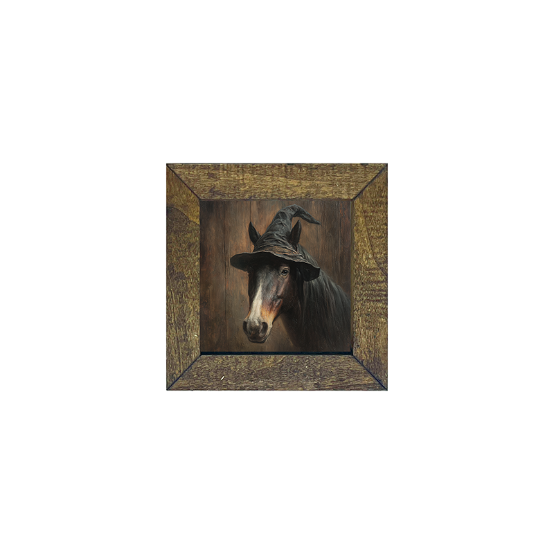 Witch Hat Horse