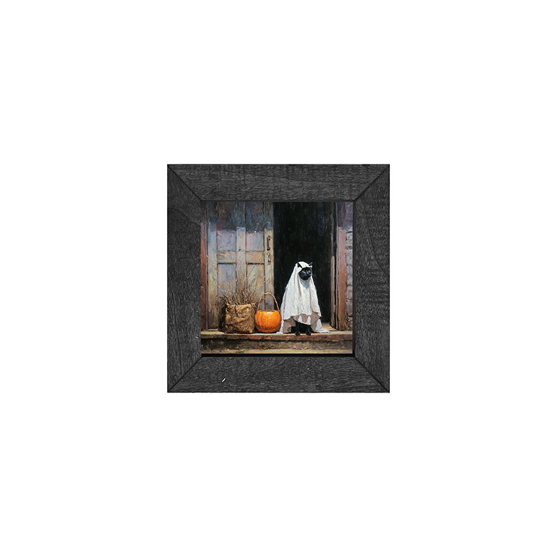Trick or Treating Pets - Cat at the Door