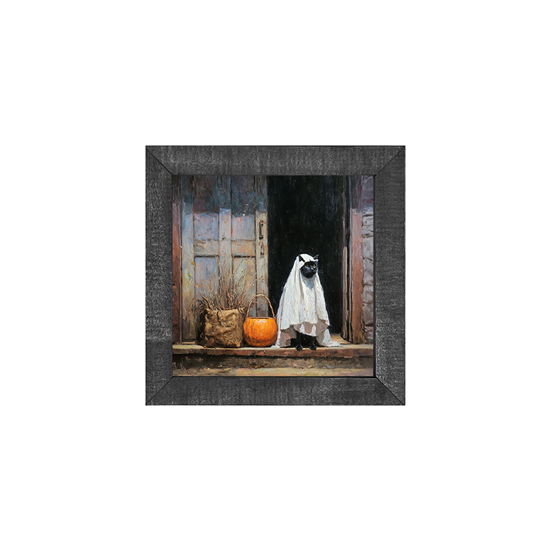 Trick or Treating Pets - Cat at the Door