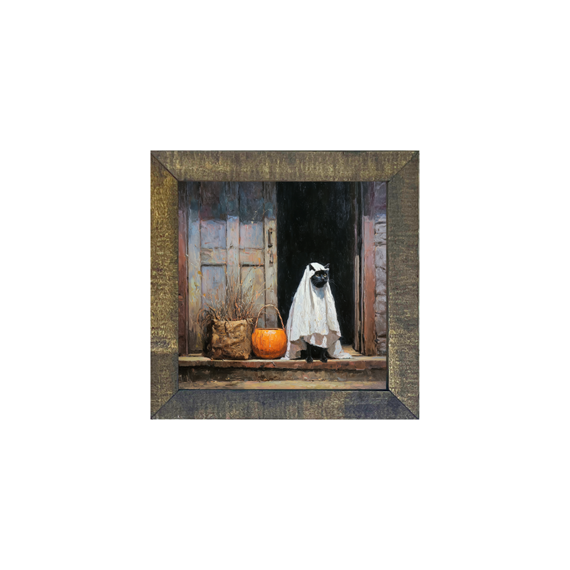 Trick or Treating Pets - Cat at the Door