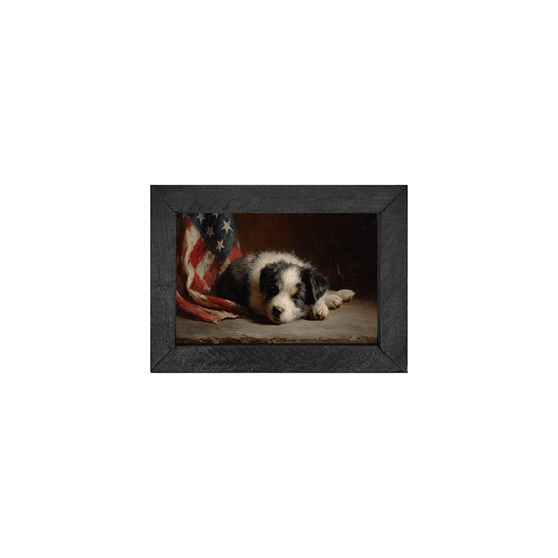 Black and White Dog Resting near Flag - Horizontal Frame