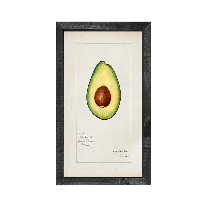 Vintage-Avocado
