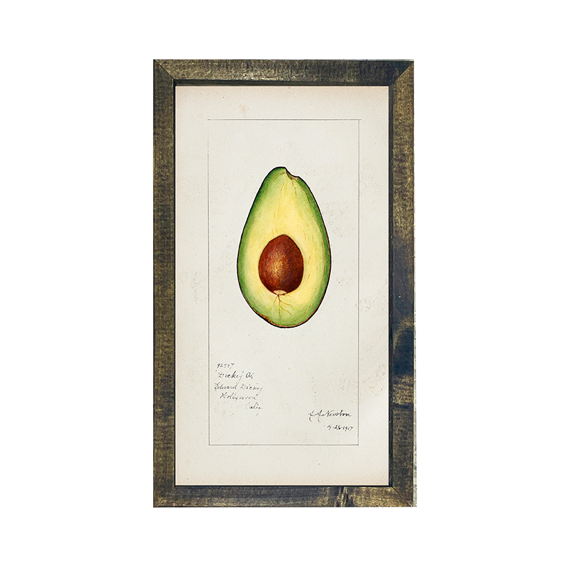 Vintage-Avocado