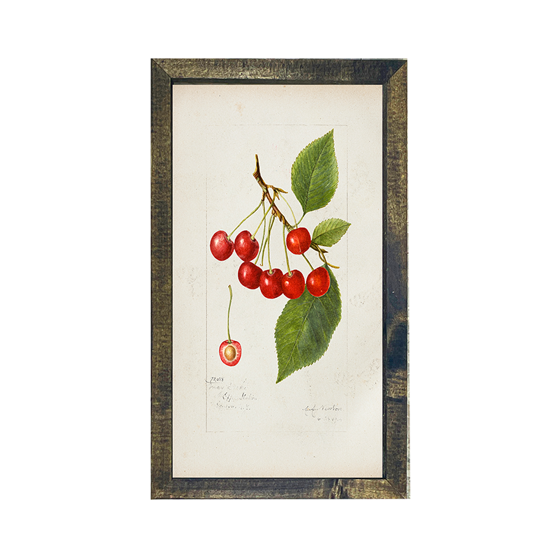 Vintage-Cherries