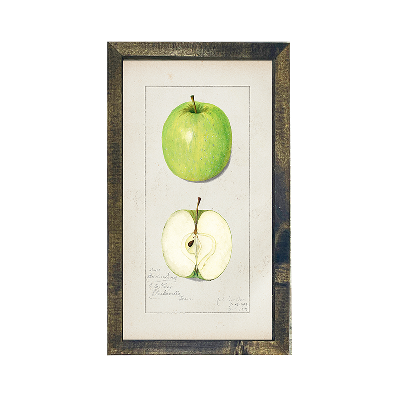Vintage-Green Apple