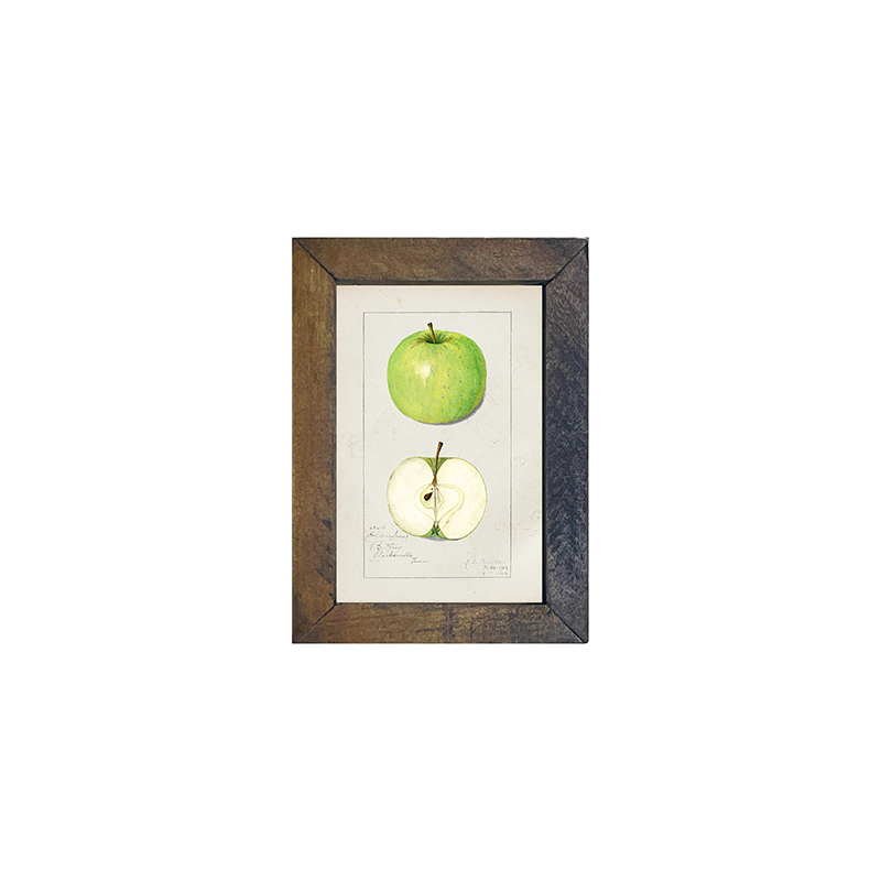 Vintage-Green Apple
