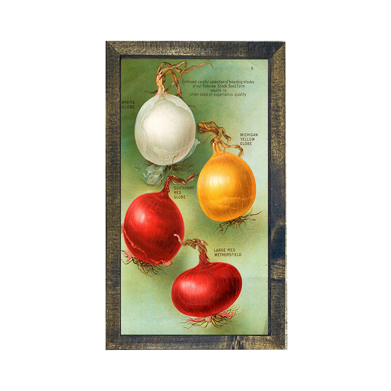 Vintage-Onions