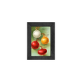 Gallery Frame