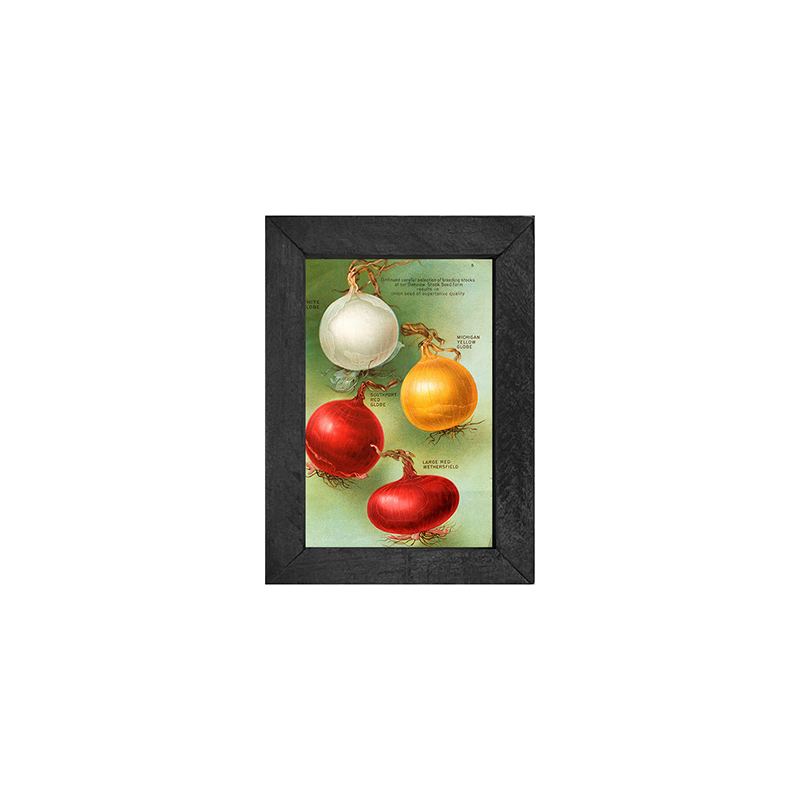 Vintage-Onions