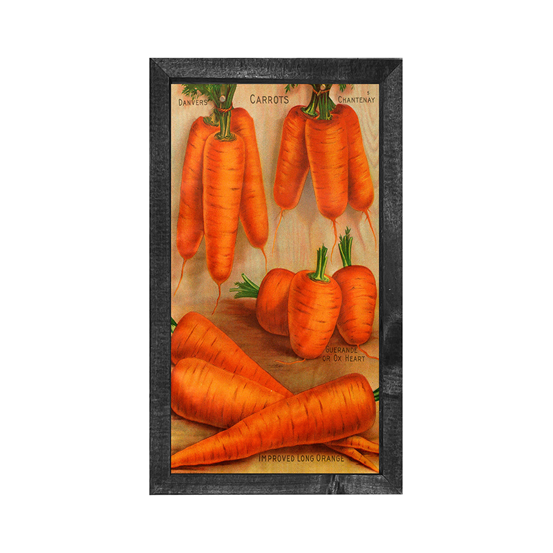 Vintage-Carrots
