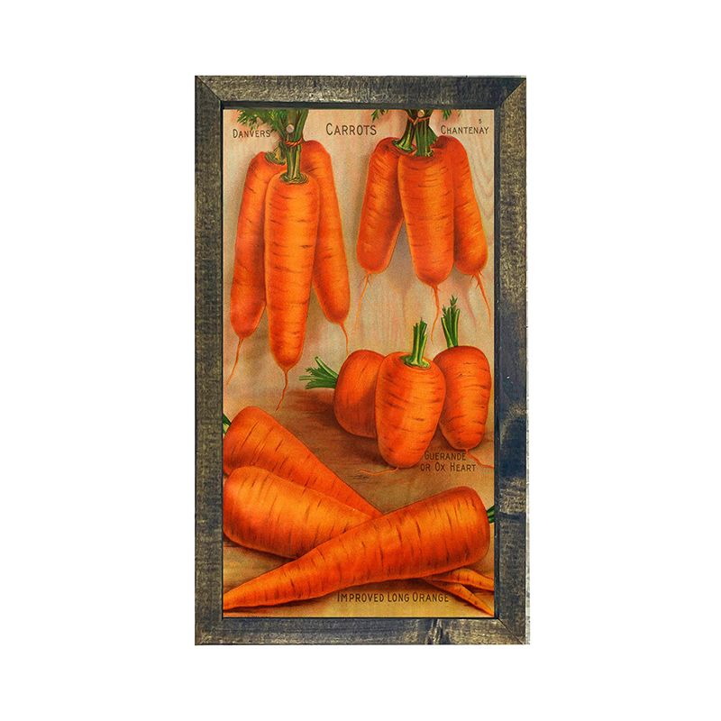 Vintage-Carrots