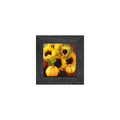 Gallery Frame