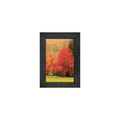 Gallery Frame