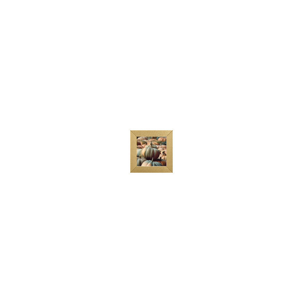 LA-111 in Metallic Gold Gallery Frame, M