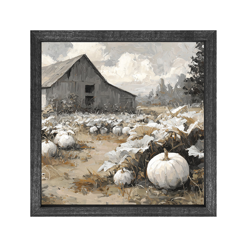 White Pumpkins in Field