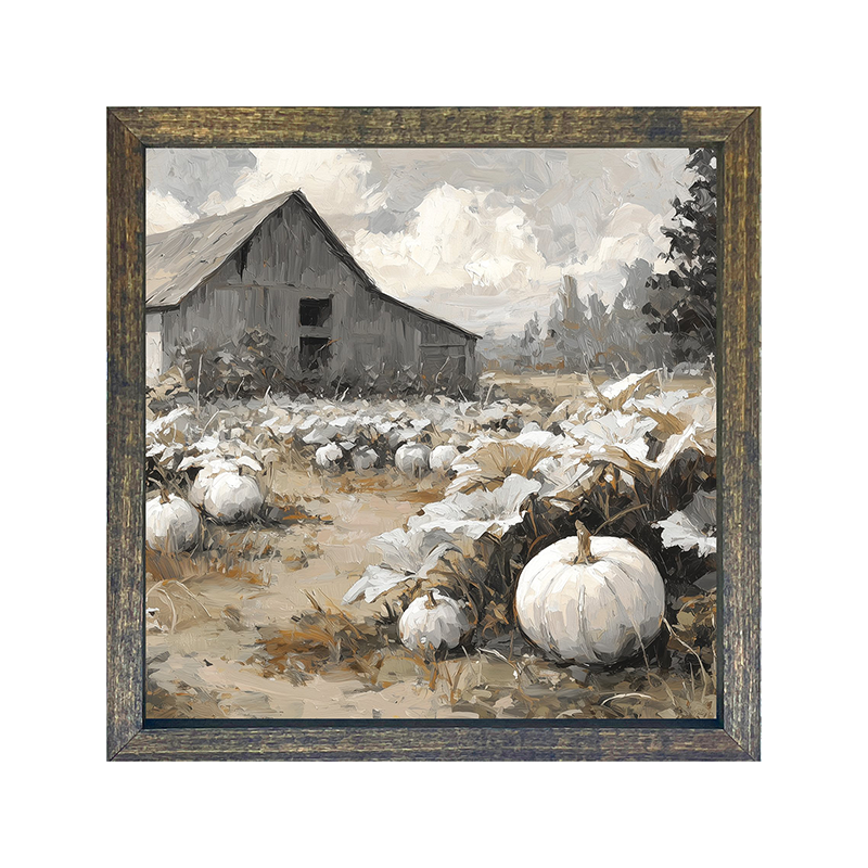 White Pumpkins in Field
