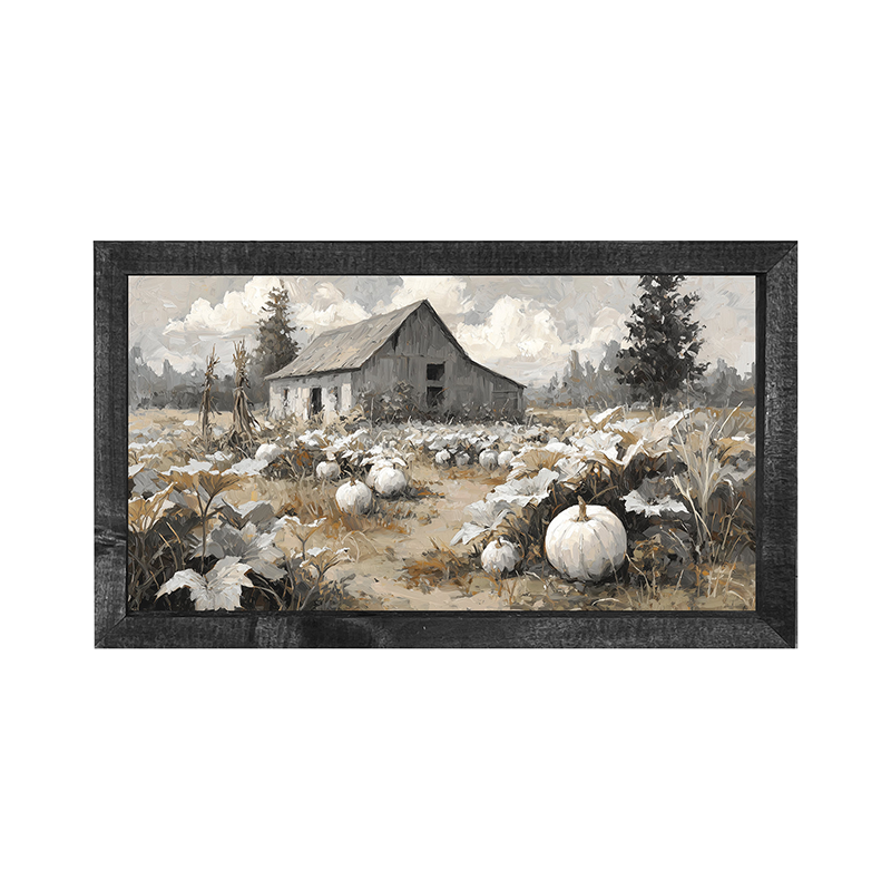 White Pumpkins in Field - Horizontal Frame