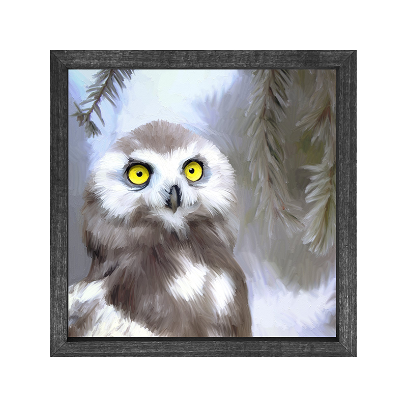 Owl - yellow eyes