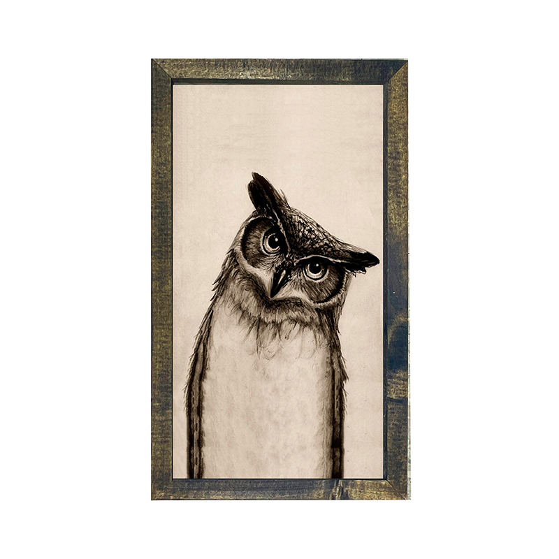Owl Pen ink