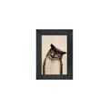 Gallery Frame