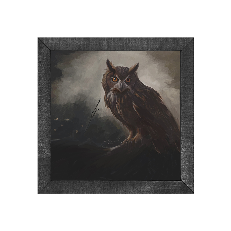 Night Owl