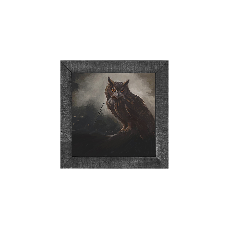 Night Owl