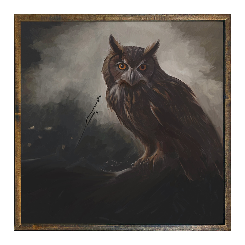 Night Owl