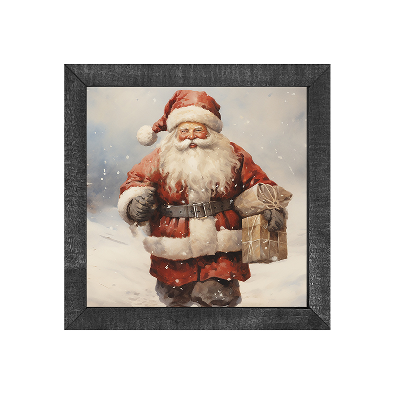 Santa on a mission