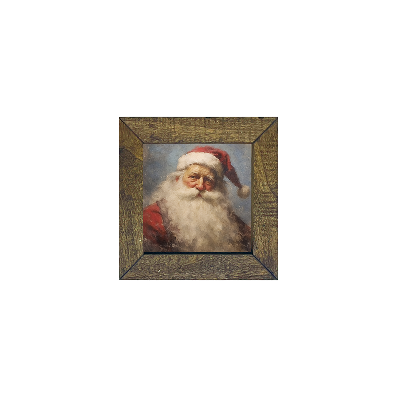 Santa portrait 5