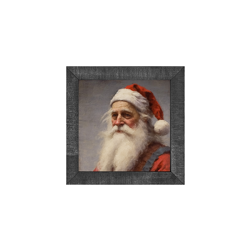 Santa portrait 7