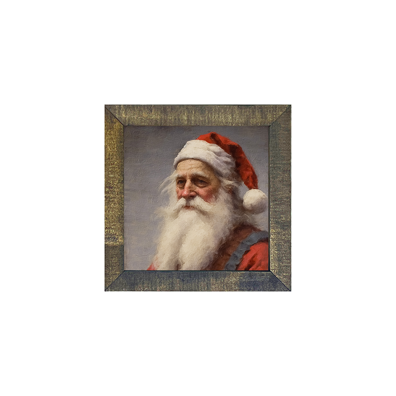 Santa portrait 7