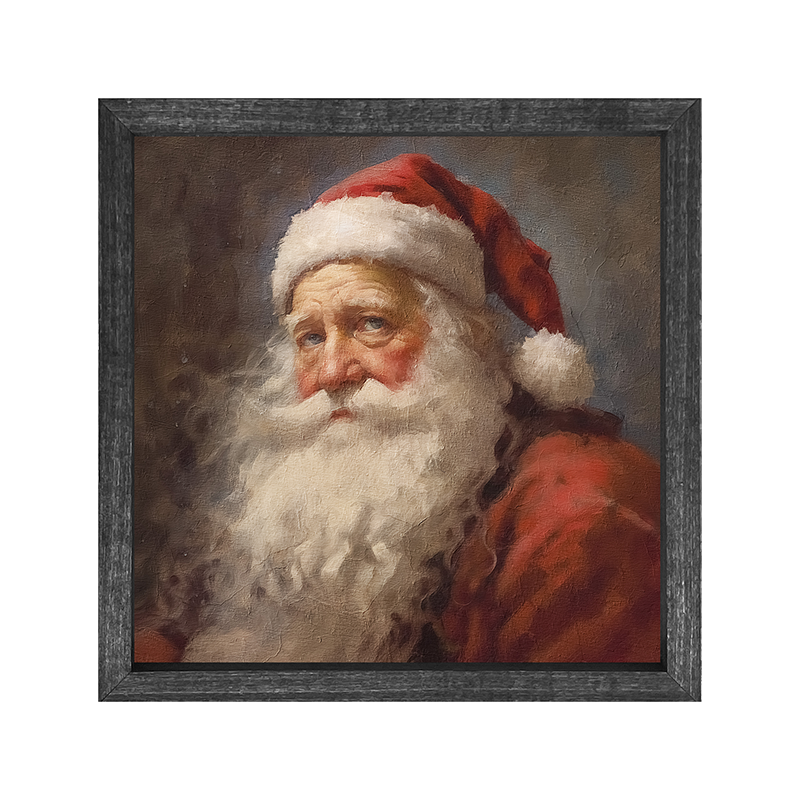 Santa portrait 8