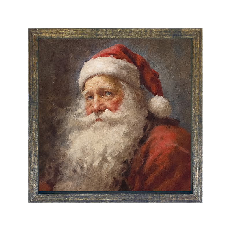 Santa portrait 8