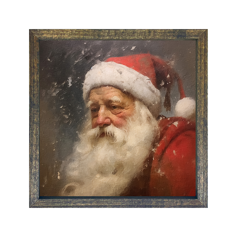 Santa portrait 9