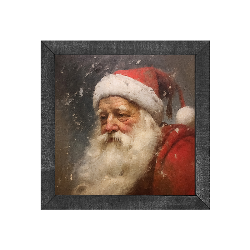 Santa portrait 9