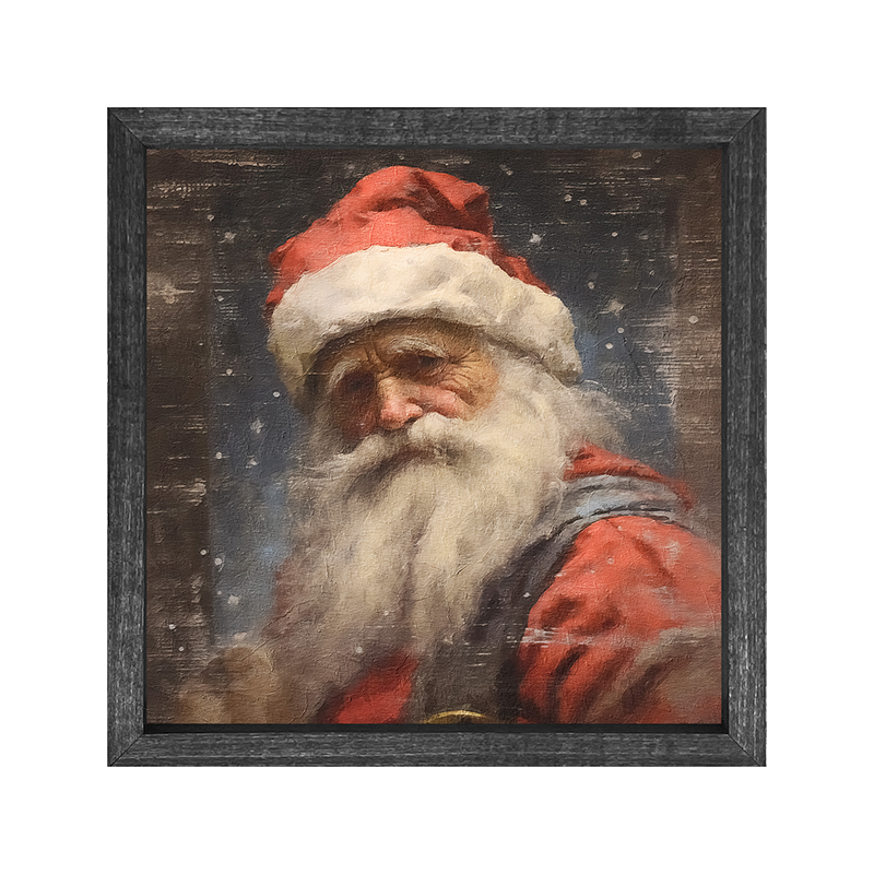 Santa portrait 12