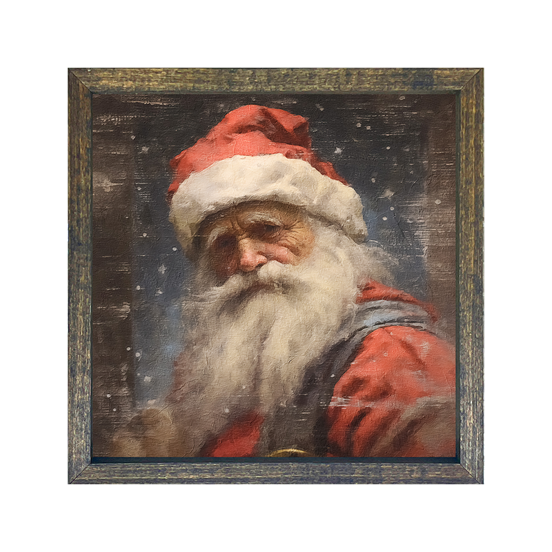 Santa portrait 12