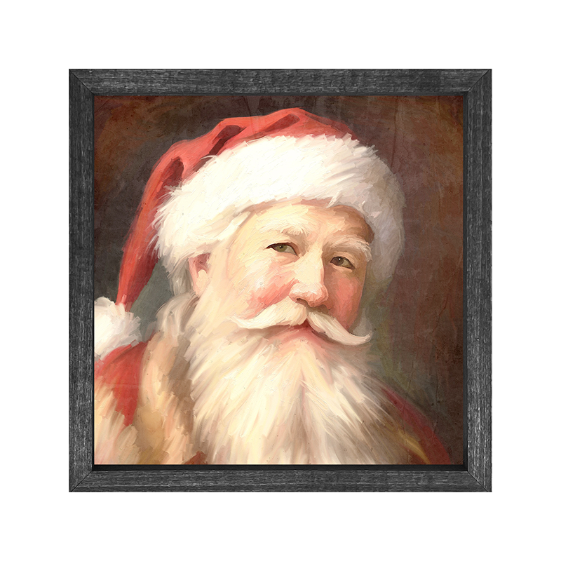 Santa portrait 13