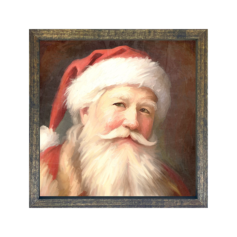 Santa portrait 13