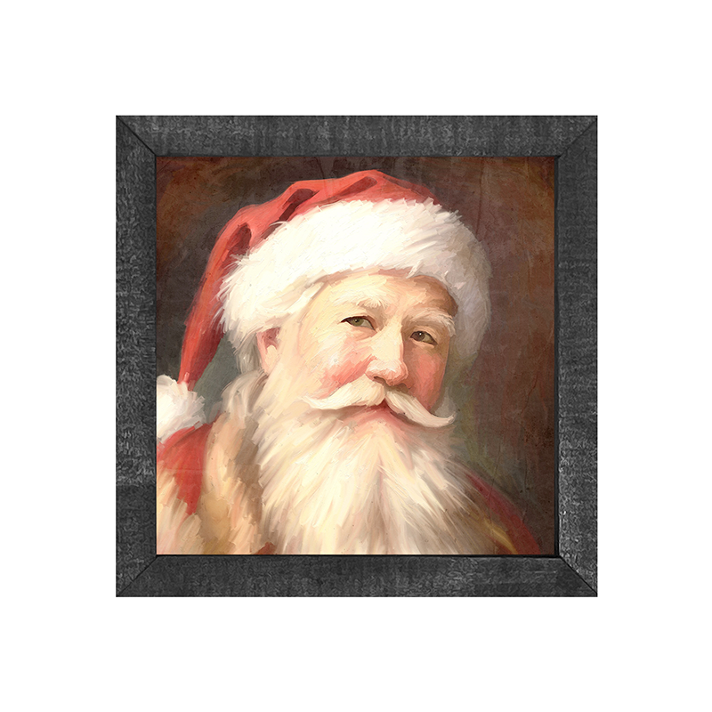 Santa portrait 13