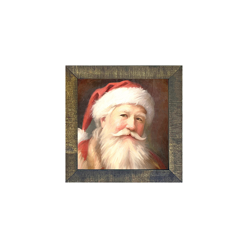 Santa portrait 13