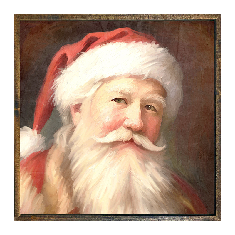 Santa portrait 13