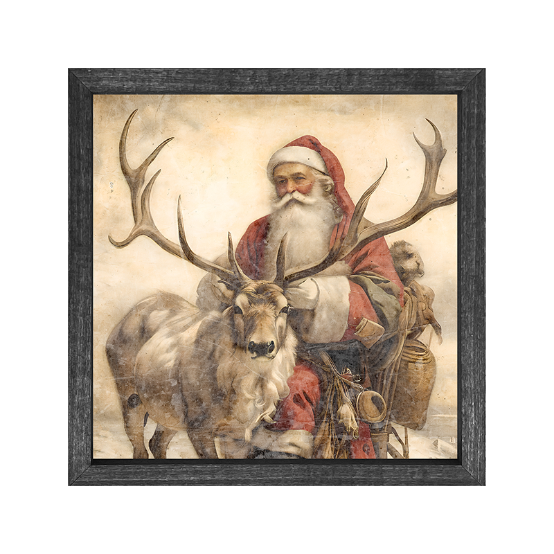 Reindeer with Santa  1